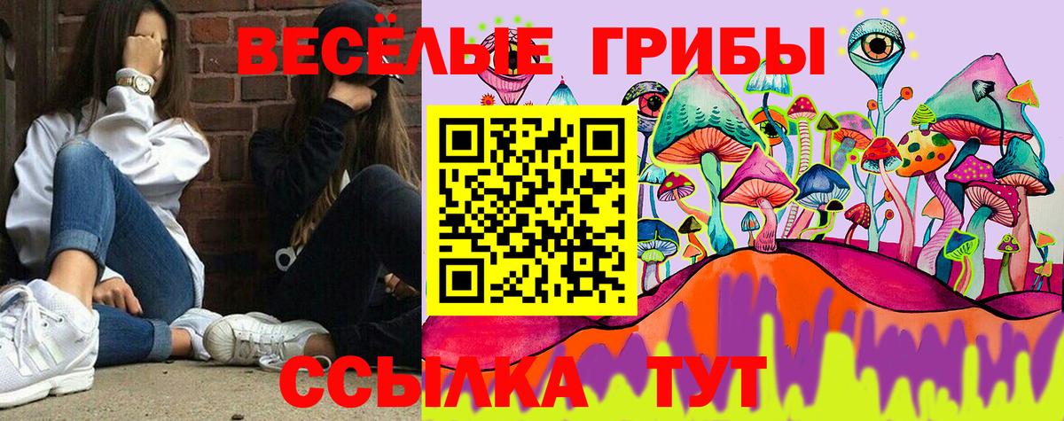 Галлюциногенные грибы Psilocybe Южно-Сахалинск